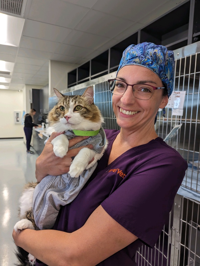 15CCBFC8-D213-4EEF-A7D3-0D76A706D8D4_1_105_c