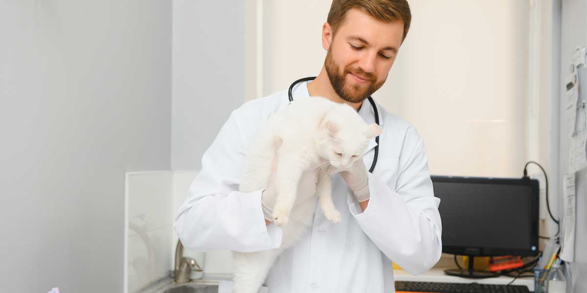 veterinary dermatology