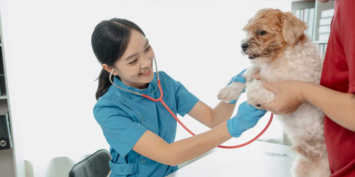 pet wellness exam